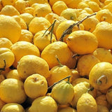 Citron Confit de Menton - Rhum arrangé 70cl 30°