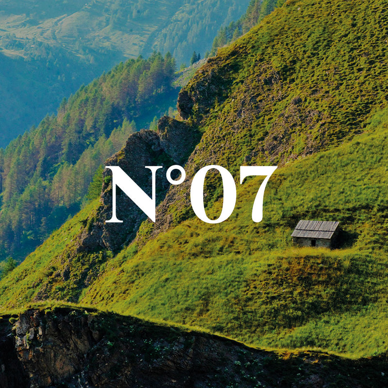 Génépi des Alpes - Rhum arrangé 70cl 30°