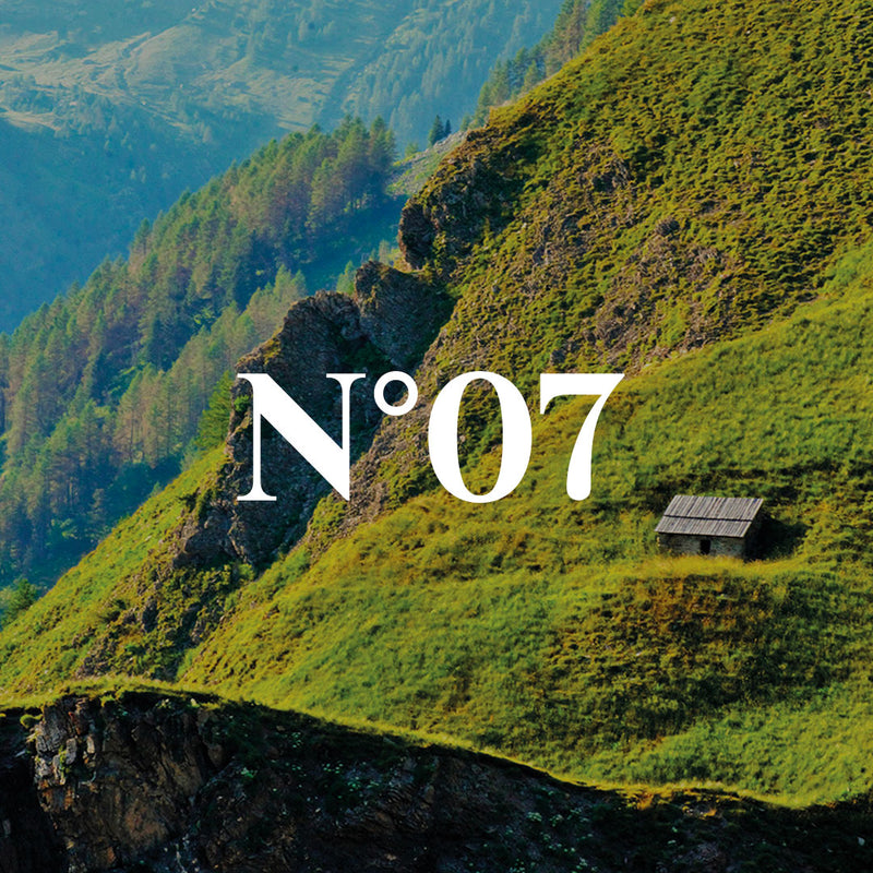 N°07 | Génépi des Alpes - Rhum arrangé 70cl 30°