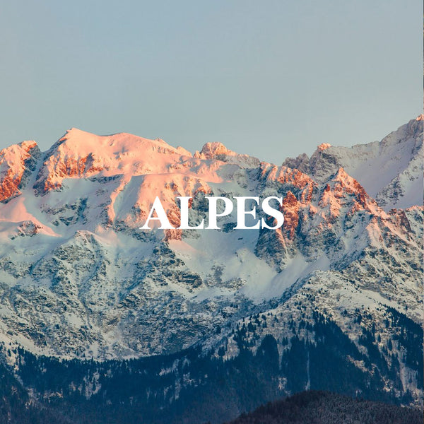 Génépi des Alpes - Rhum arrangé 70cl 30°