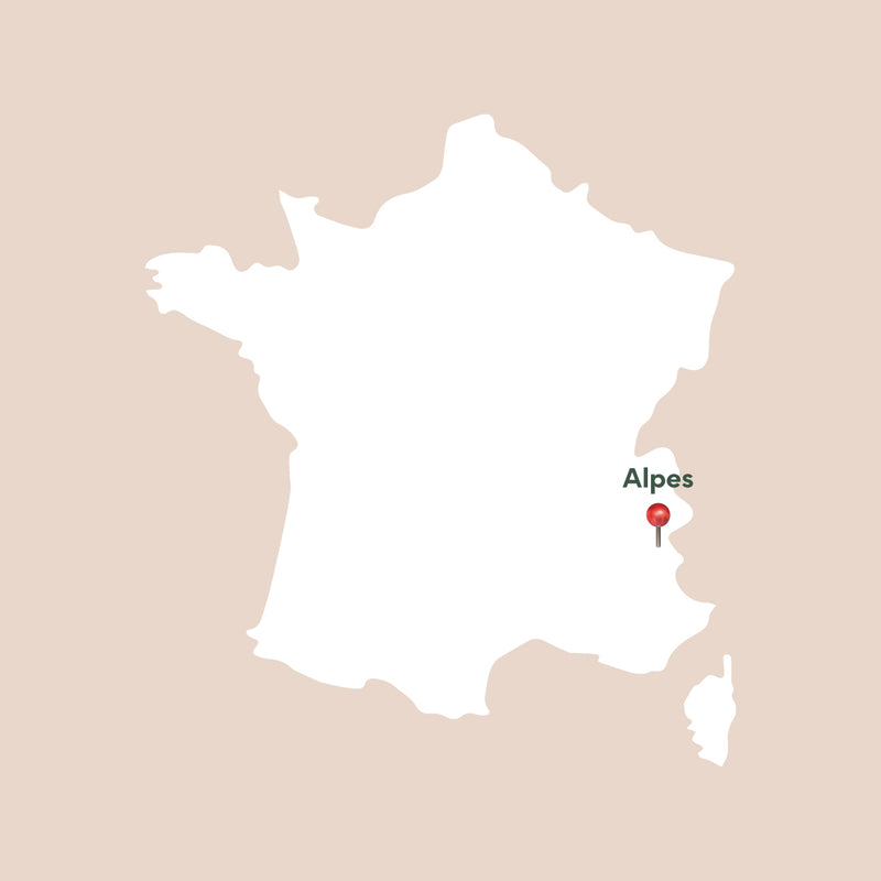 Génépi des Alpes - Rhum arrangé 70cl 30°
